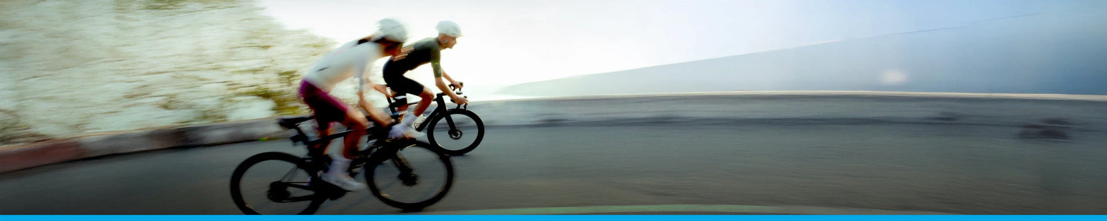 Μάρκες | WAHOO