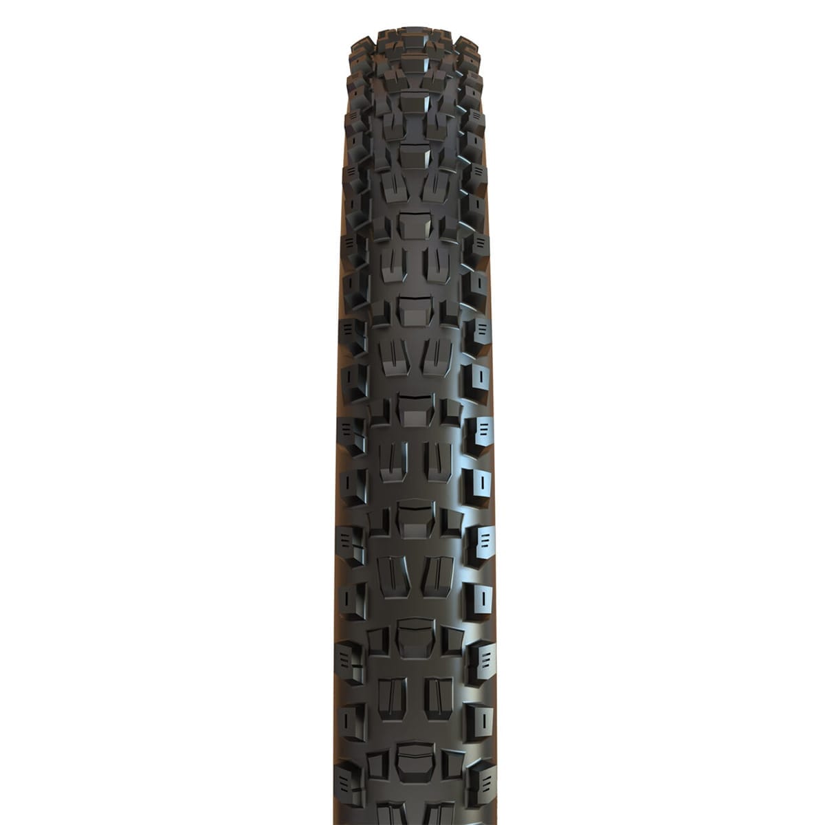 MAXXIS ASSEGAI 29x2.50 WT BikePark DH Tubeless Ready άκαμπτο μαύρο ελαστικό