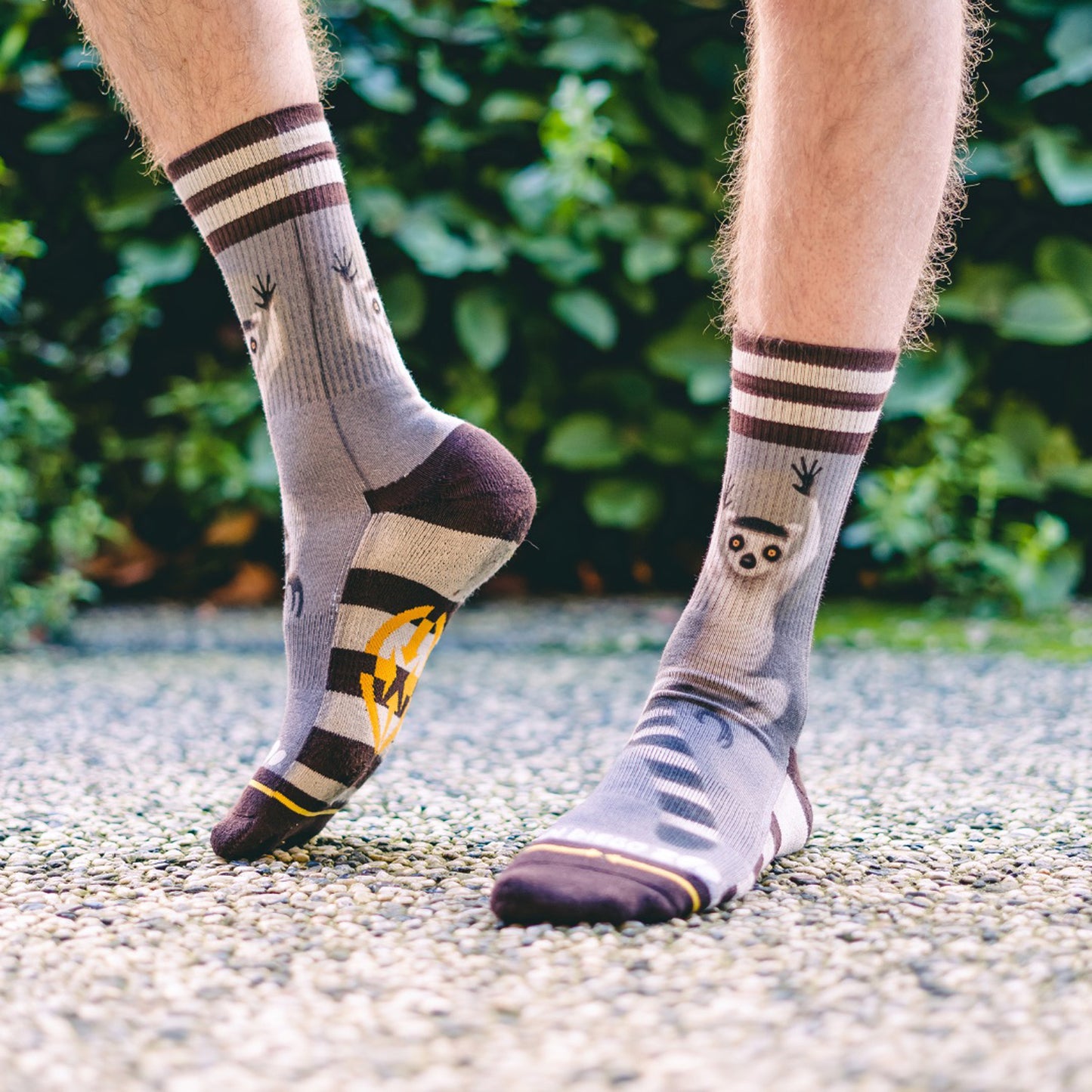 MERGE4 RING TAIL LEMUR κάλτσες