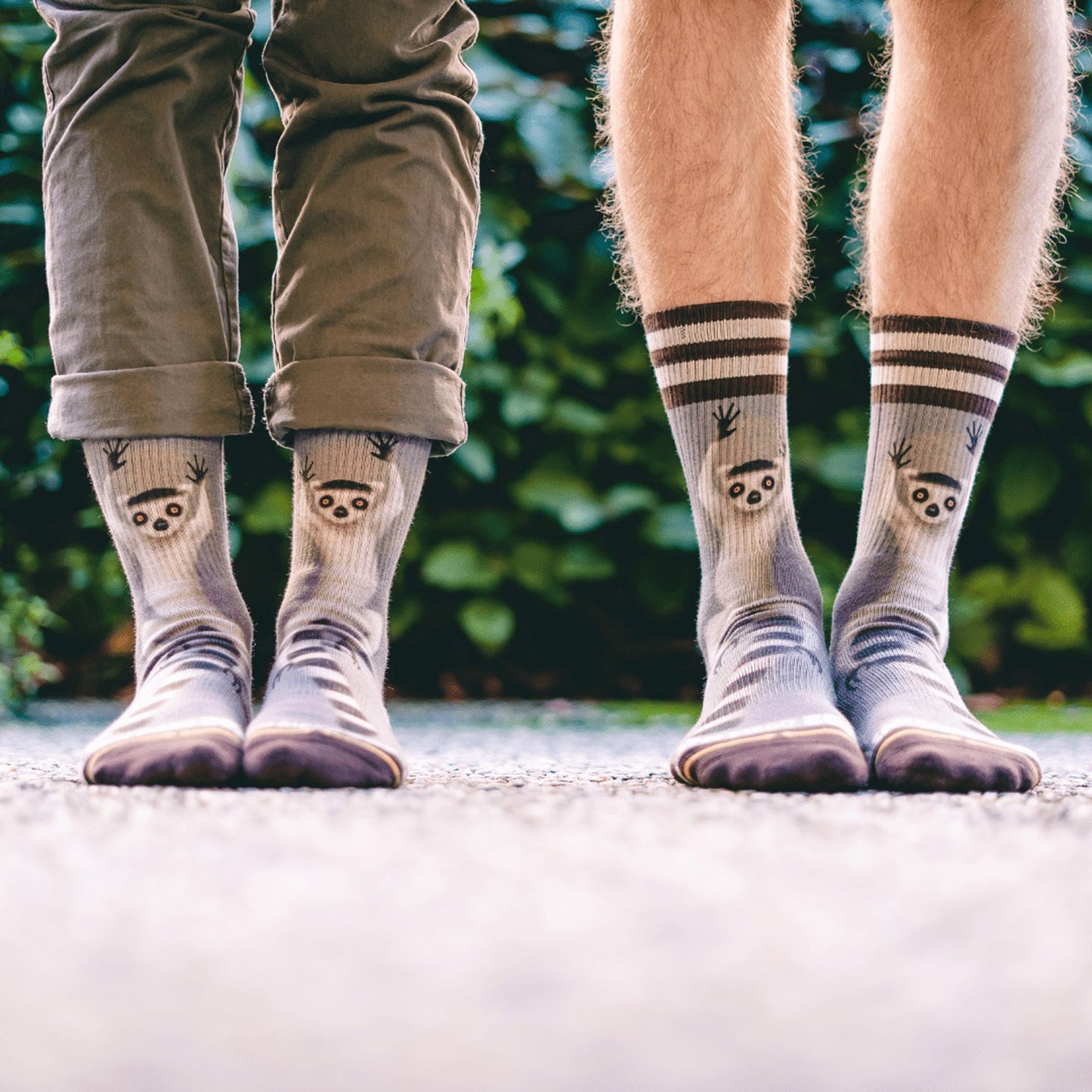 MERGE4 RING TAIL LEMUR κάλτσες