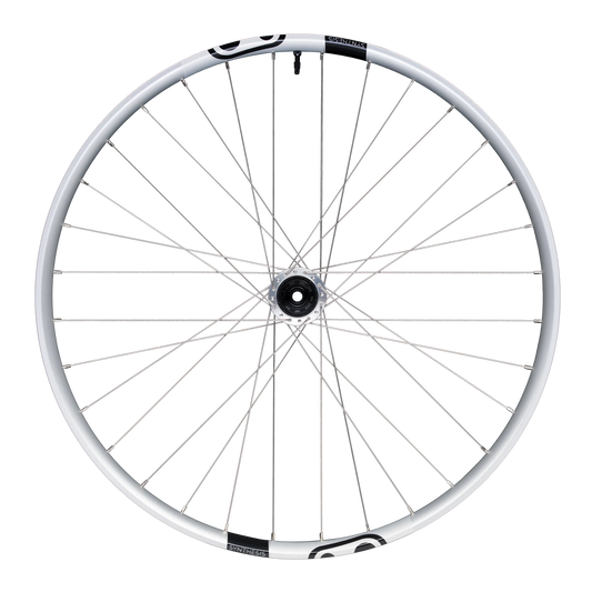 Πίσω τροχός CRANKBROTHERS SYNTHESIS Αλουμίνιο 2.0 E-BIKE I9 29" 12x148 mm Boost Ασημί