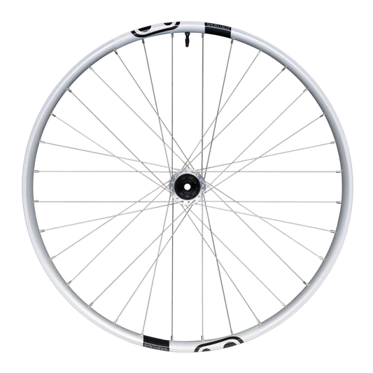 Πίσω τροχός CRANKBROTHERS SYNTHESIS Αλουμίνιο 2.0 DH I9 29" 12x157 mm Super Boost Silver