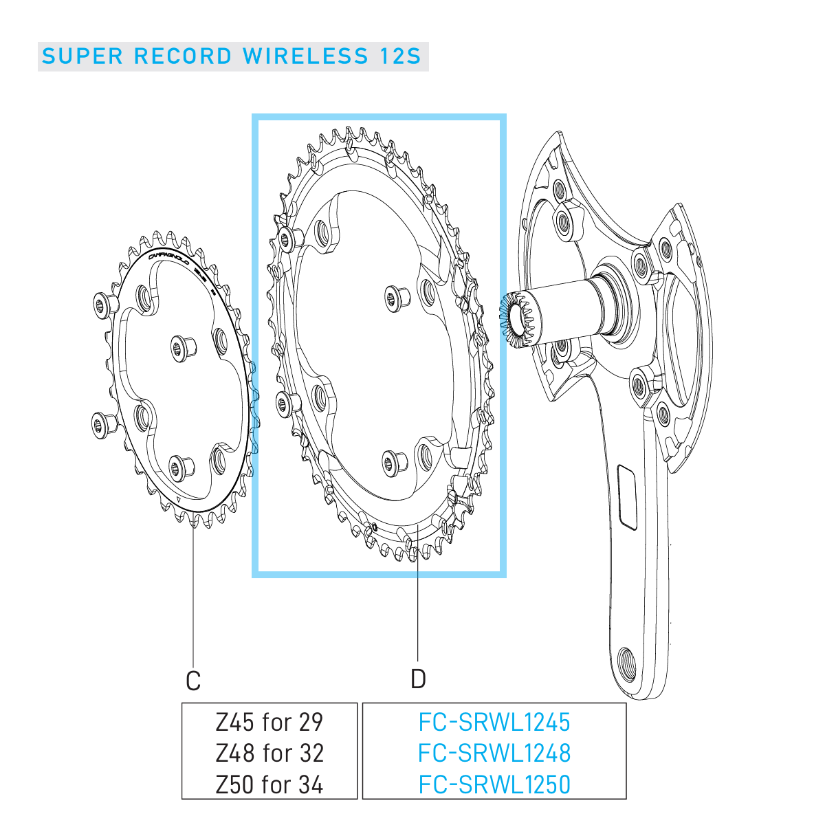 Εξωτερική 12V CAMPAGNOLO SUPER RECORD WRL δίσκος