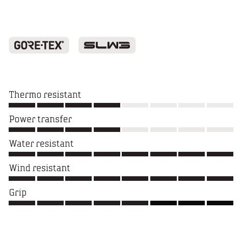 NORTHWAVE CELSIUS XT GTX WINTER MTB Παπούτσια Μαύρο/Γκρι