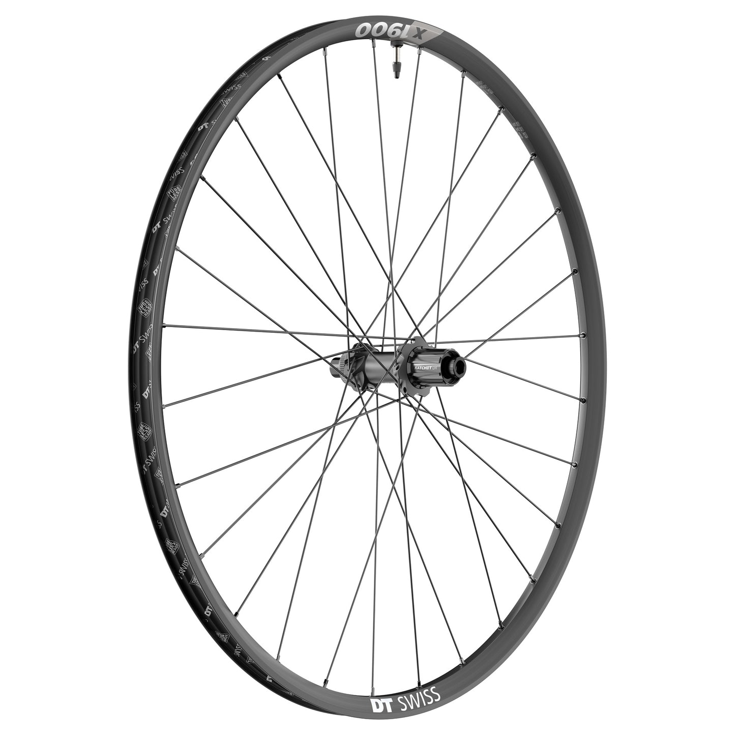 DT SWISS X 1900 SPLINE 29'' 25 mm 12x148 mm Πίσω τροχός
