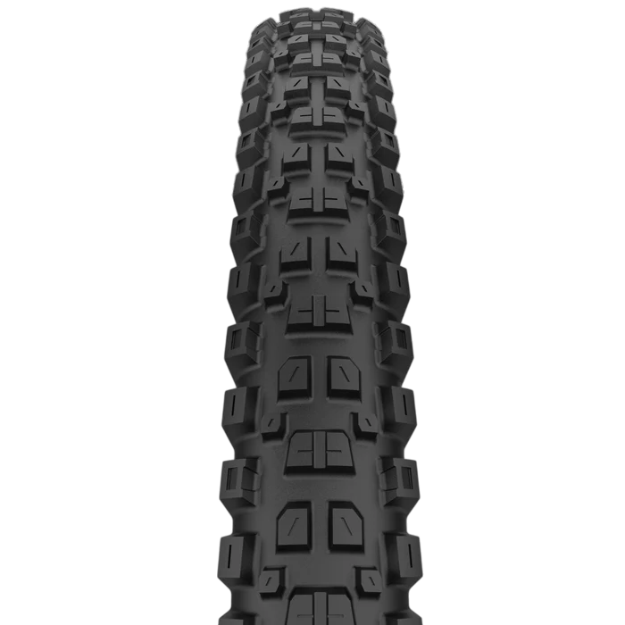 CAST PROTAGONIST 29x2.40 DualWall Smart Evo DH Tubeless Ready tire