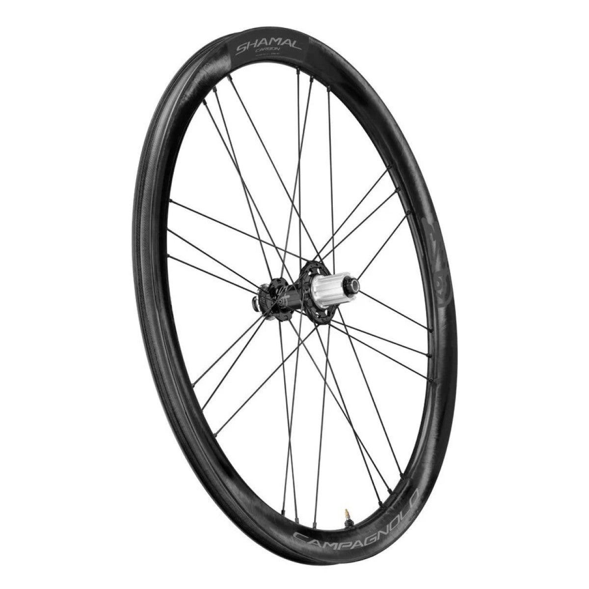 CAMPAGNOLO SHAMAL DISC Tubeless Ready rear wheel (Center Lock)