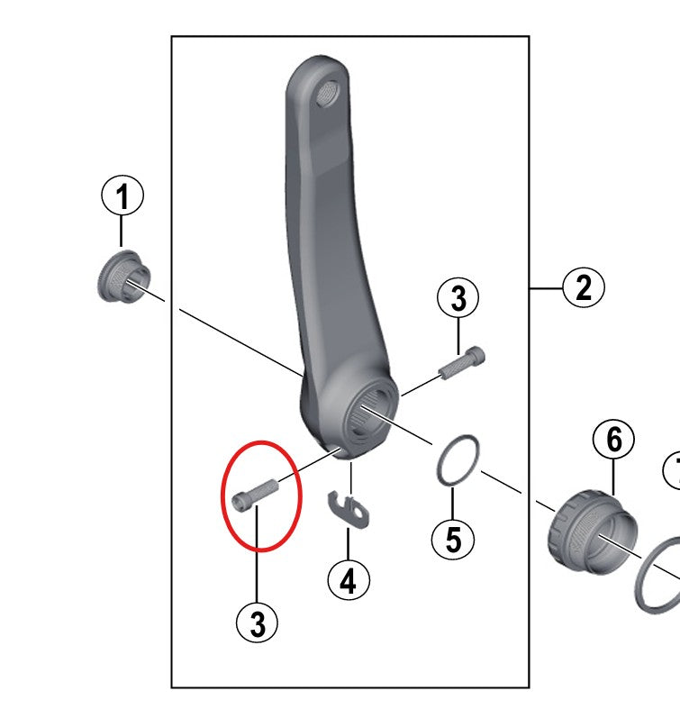 Βίδα σφιγκτήρα στροφάλου SHIMANO Road/MTT με ροδέλα (M6 x 21)