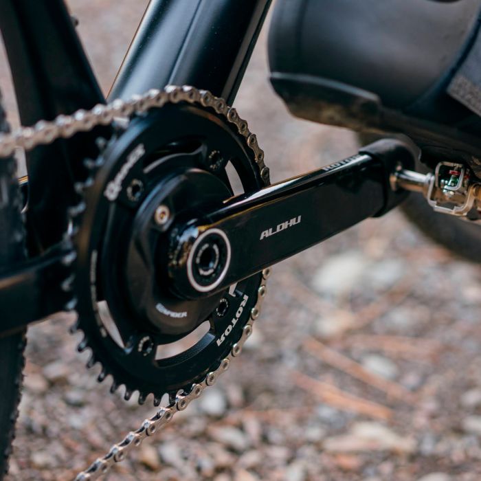 ROTOR ALDHU Carbon cranks