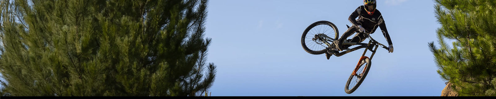 TROY LEE DESIGNS | Protections