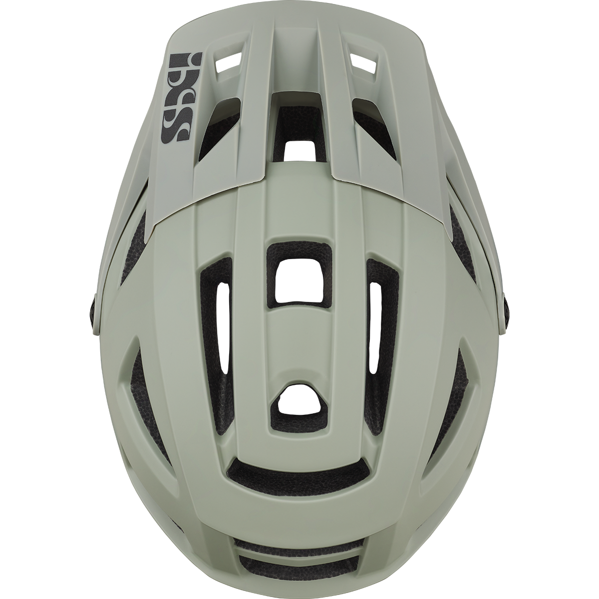 IXS TRIGGER AM MIPS MTB Helmet Grey
