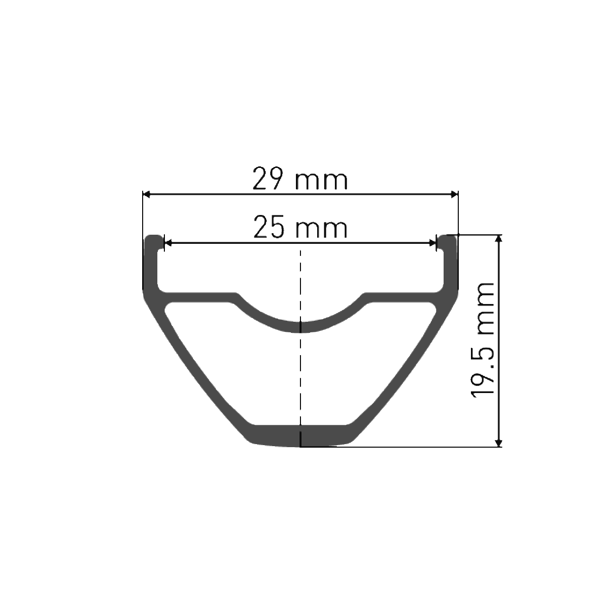 DT SWISS X 1900 SPLINE 25 mm 29" 12x142 mm Rear Wheel