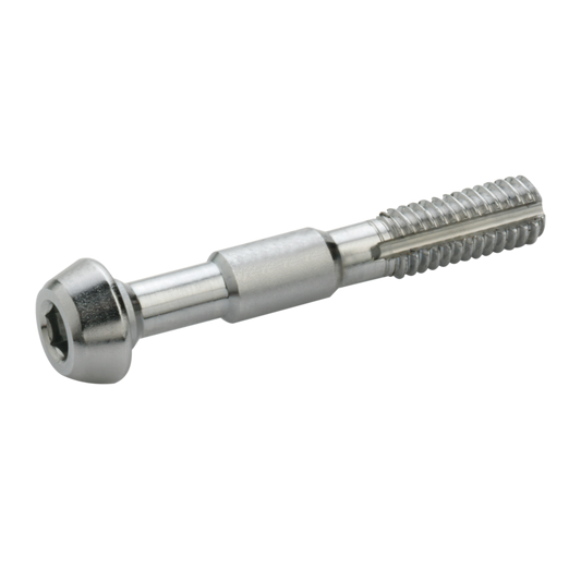 Σετ 2 βιδών ELVEDES M6 για Shimano Banjo