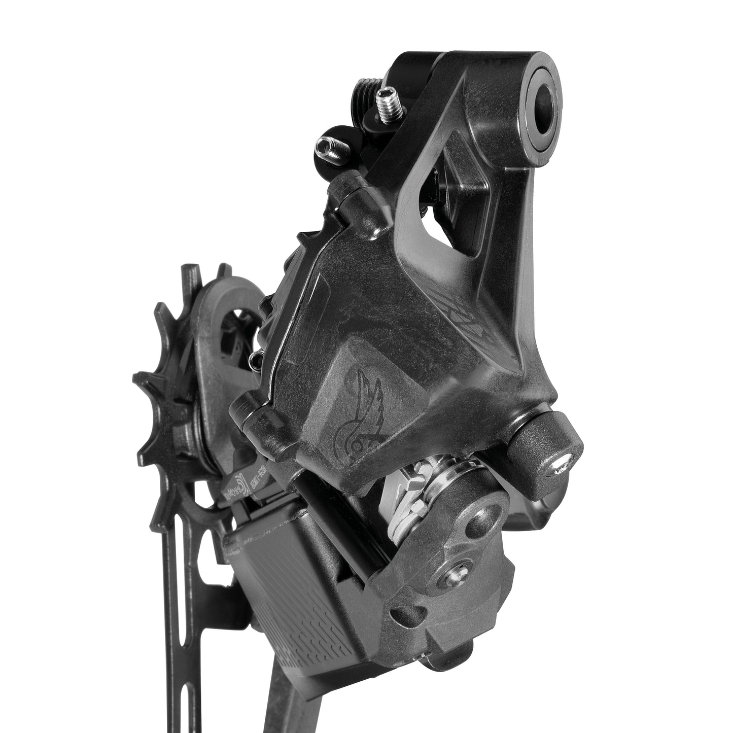 CAMPAGNOLO RECORD X WRL 13 ταχυτήτων Πίσω ντερέιλερ