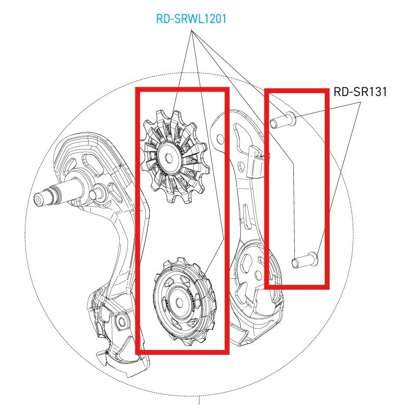 CAMPAGNOLO SUPER-RECORD 12V WRL DISC ντεραγιέ κομβία