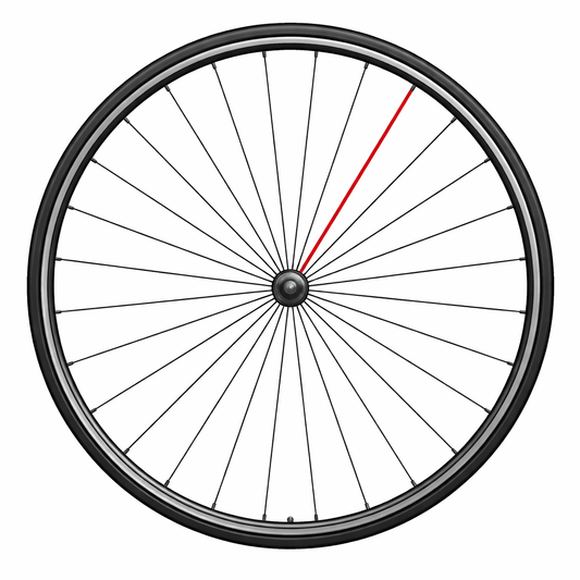 CAMPAGNOLO ΠΛΉΡΗΣ ΜΠΡΟΣΤΙΝΉ ΑΚΤΊΝΑ SHAMAL C17 (1 ΤΕΜ.)