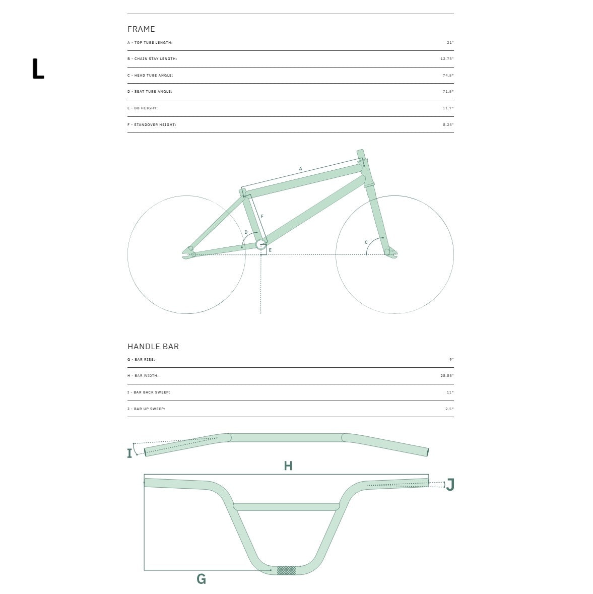 BMW WETHEPEOPLE THRILLSEEKER Turquoise
