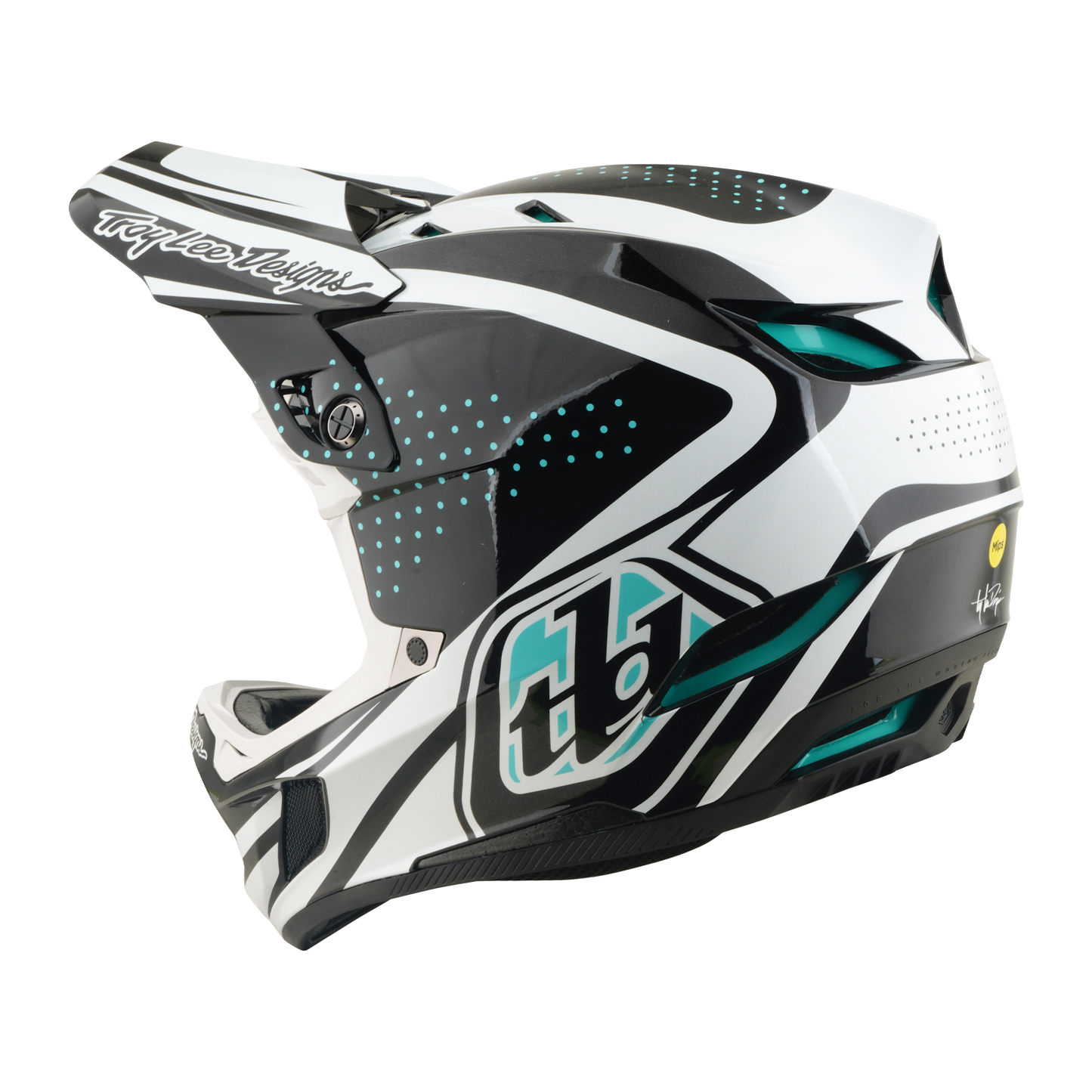 MTB helmet TROY LEE DESIGNS D4 POLYACRYLITE MIPS THE LINE Charcoal/White