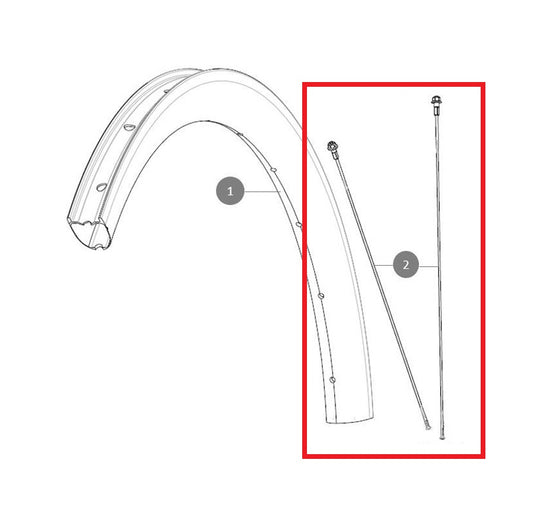 Σετ 12 ακτίνων άνθρακα MAVIC ALLROAD SL Carbon 278mm μπροστά και πίσω
