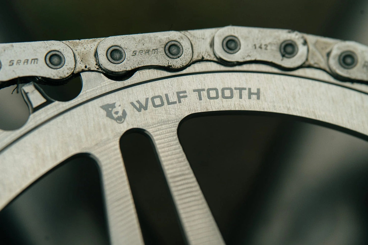WOLF TOOTH BOOST Άμεση τοποθέτηση SRAM Raw Silver Mono αλυσοδακτύλιος